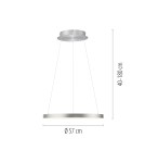 Paul Neuhaus Hoop Lampa Wisząca Aluminium 2851-95