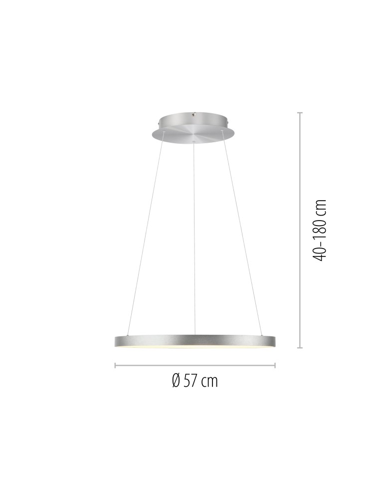 Paul Neuhaus Hoop Lampa Wisząca Aluminium 2851-95