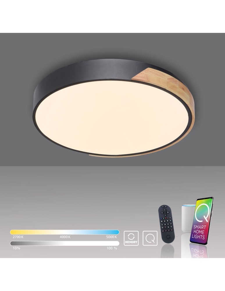 Paul Neuhaus Q-Bila Lampa Sufitowa Czarny/Drewno 6071-18