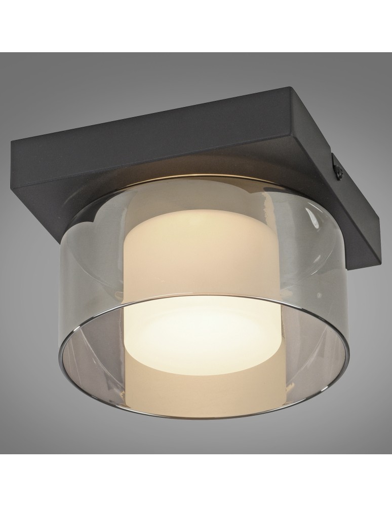 Paul Neuhaus Rika Lampa Sufitowa Czarny 6162-18