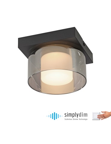 Paul Neuhaus Rika Lampa Sufitowa Czarny 6162-18 - product 2