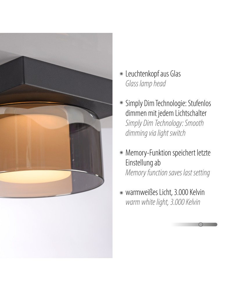 Paul Neuhaus Rika Lampa Sufitowa Czarny 6162-18
