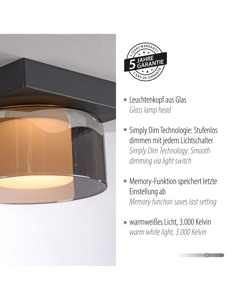 Paul Neuhaus Rika Lampa Sufitowa Czarny 6162-18