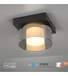 Paul Neuhaus Rika Lampa Sufitowa Czarny 6162-18