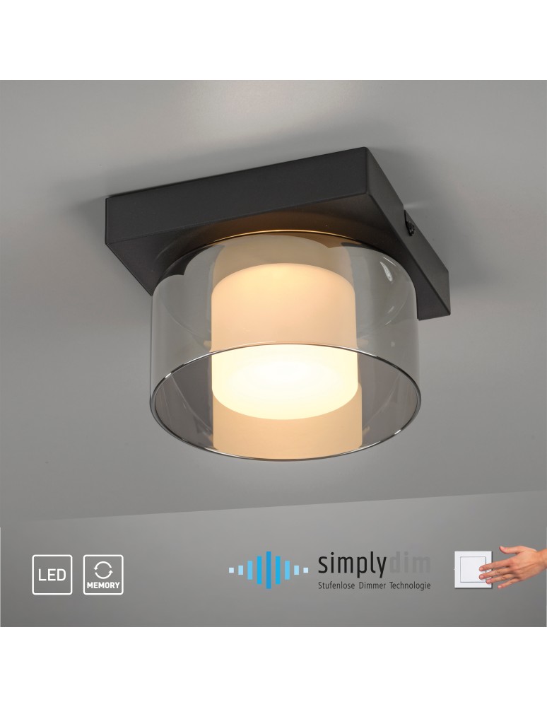 Paul Neuhaus Rika Lampa Sufitowa Czarny 6162-18