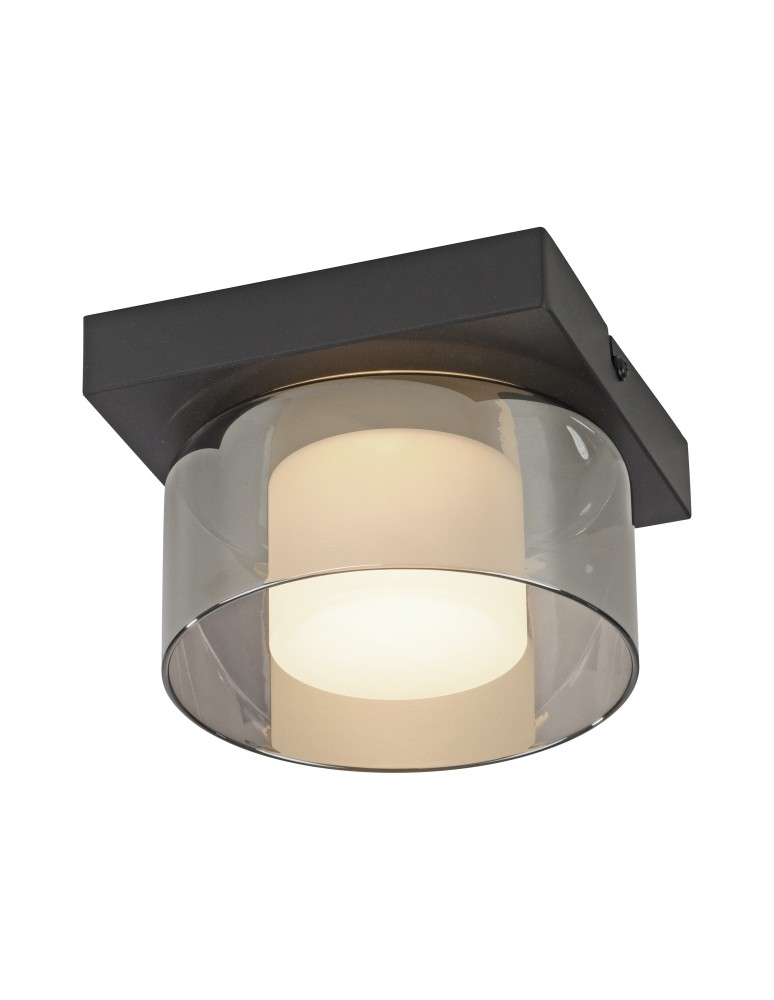Paul Neuhaus Rika Lampa Sufitowa Czarny 6162-18