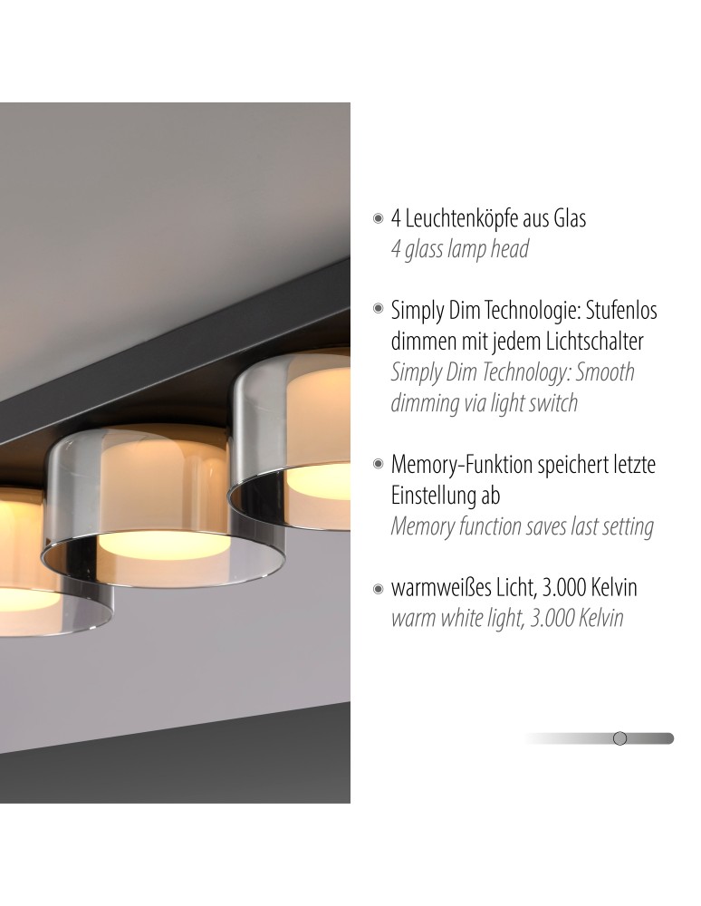 Paul Neuhaus Rika Lampa Sufitowa Czarny 6164-18