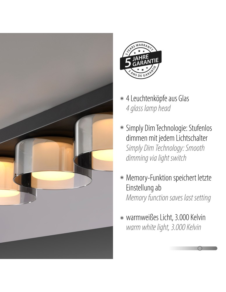 Paul Neuhaus Rika Lampa Sufitowa Czarny 6164-18