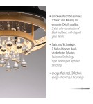 Paul Neuhaus Rotazo Lampa Sufitowa Czarny/Mosiądz 6267-68