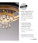 Paul Neuhaus Rotazo Lampa Sufitowa Czarny/Mosiądz 6267-68