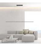Paul Neuhaus Pure-Lite Lampa Wisząca Antracyt 8377-13