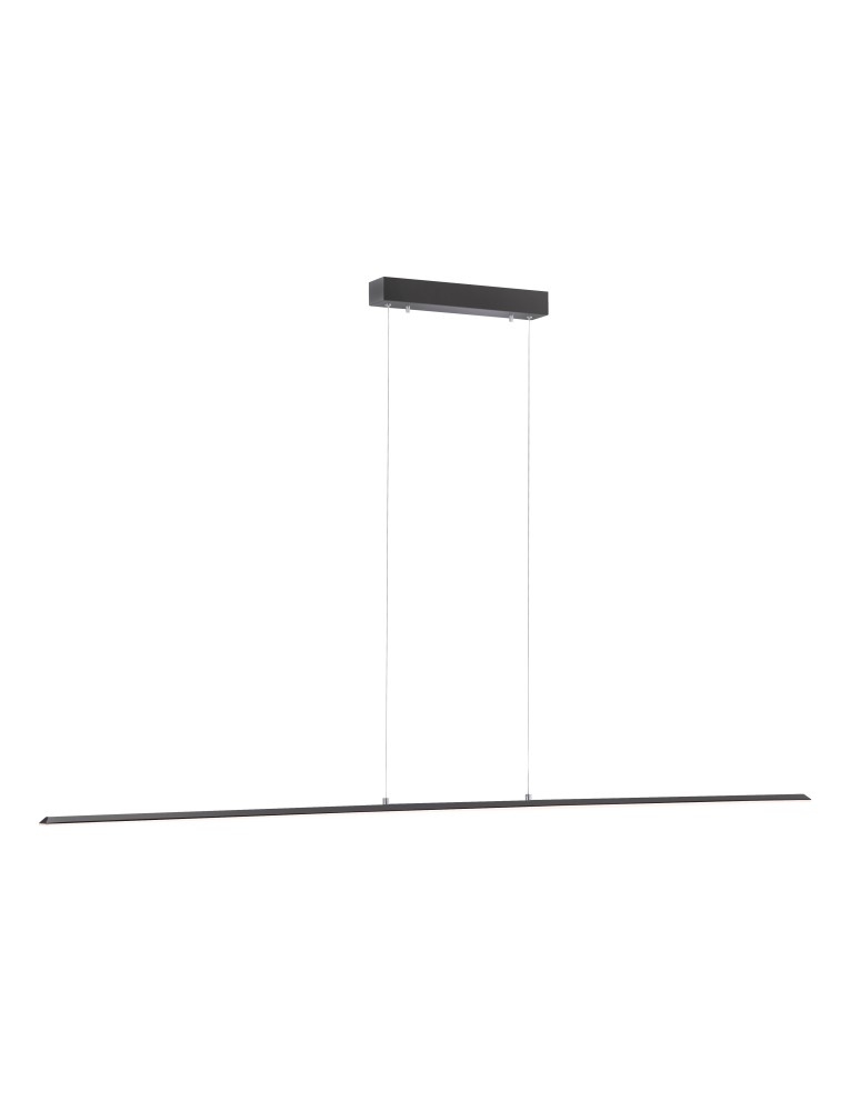 Paul Neuhaus Pure-Lite Lampa Wisząca Antracyt 8377-13