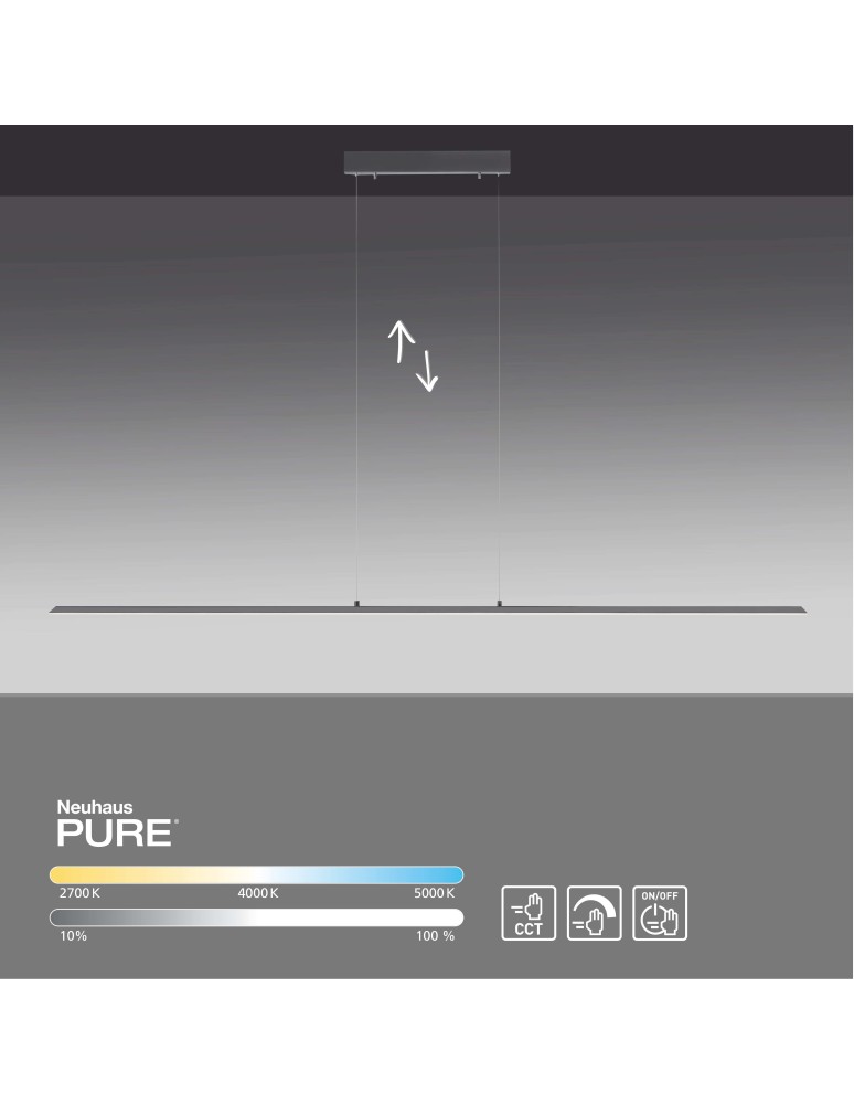 Paul Neuhaus Pure-Lite Lampa Wisząca Antracyt 8377-13