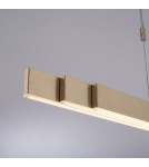 Paul Neuhaus Pure-Moto Lampa Wisząca Matowy Mosiądz 2525-60