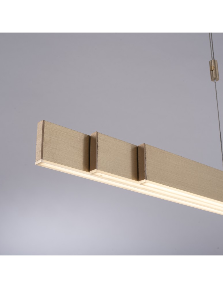 Paul Neuhaus Pure-Moto Lampa Wisząca Matowy Mosiądz 2525-60