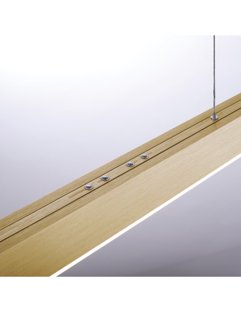 Paul Neuhaus Pure-Moto Lampa Wisząca Matowy Mosiądz 2525-60