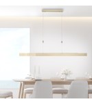 Paul Neuhaus Pure-Moto Lampa Wisząca Matowy Mosiądz 2525-60