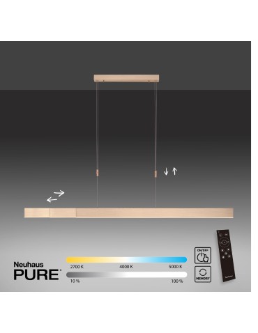 Paul Neuhaus Pure-Moto Lampa Wisząca Matowy Mosiądz 2525-60