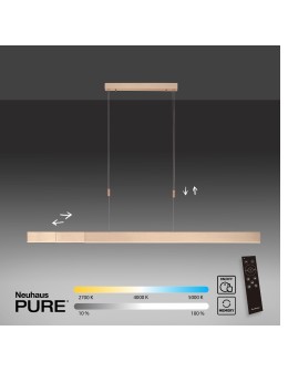 Paul Neuhaus Pure-Moto Lampa Wisząca Matowy Mosiądz 2525-60