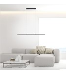 Paul Neuhaus Pure-Lite Lampa Wisząca Antracyt 8375-13