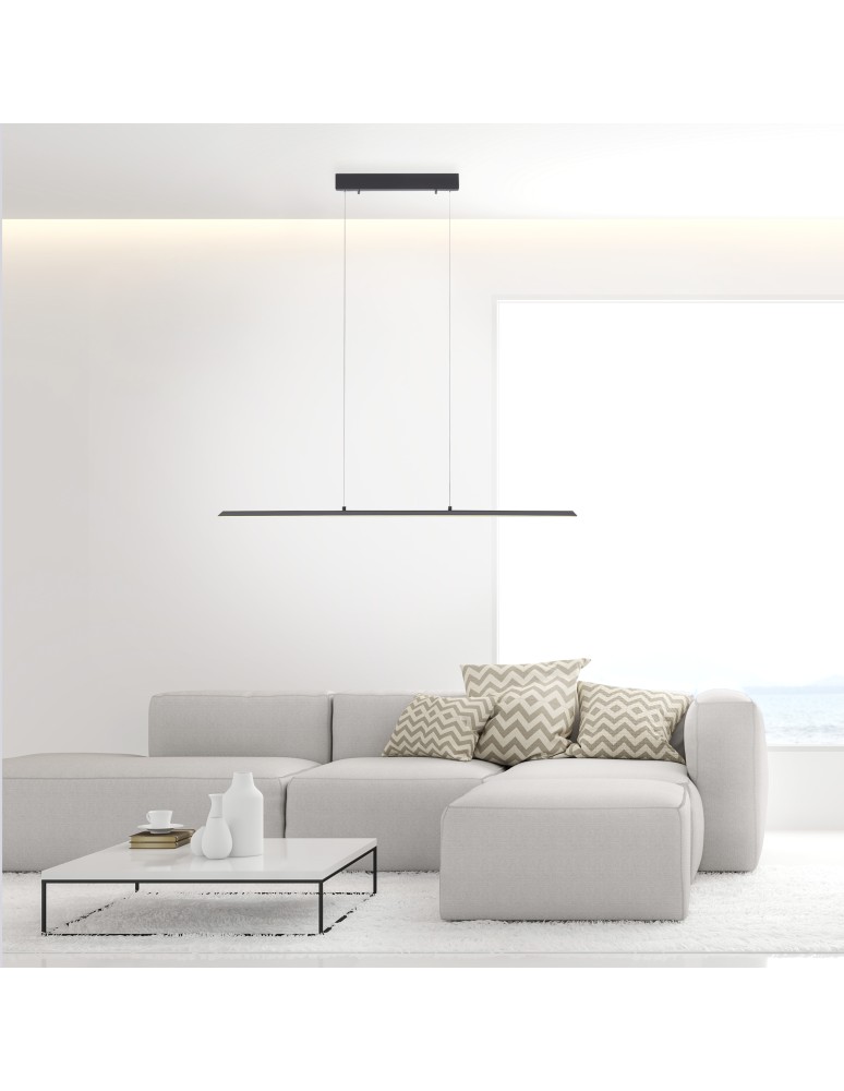 Paul Neuhaus Pure-Lite Lampa Wisząca Antracyt 8375-13