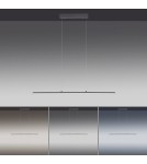 Paul Neuhaus Pure-Lite Lampa Wisząca Antracyt 8375-13
