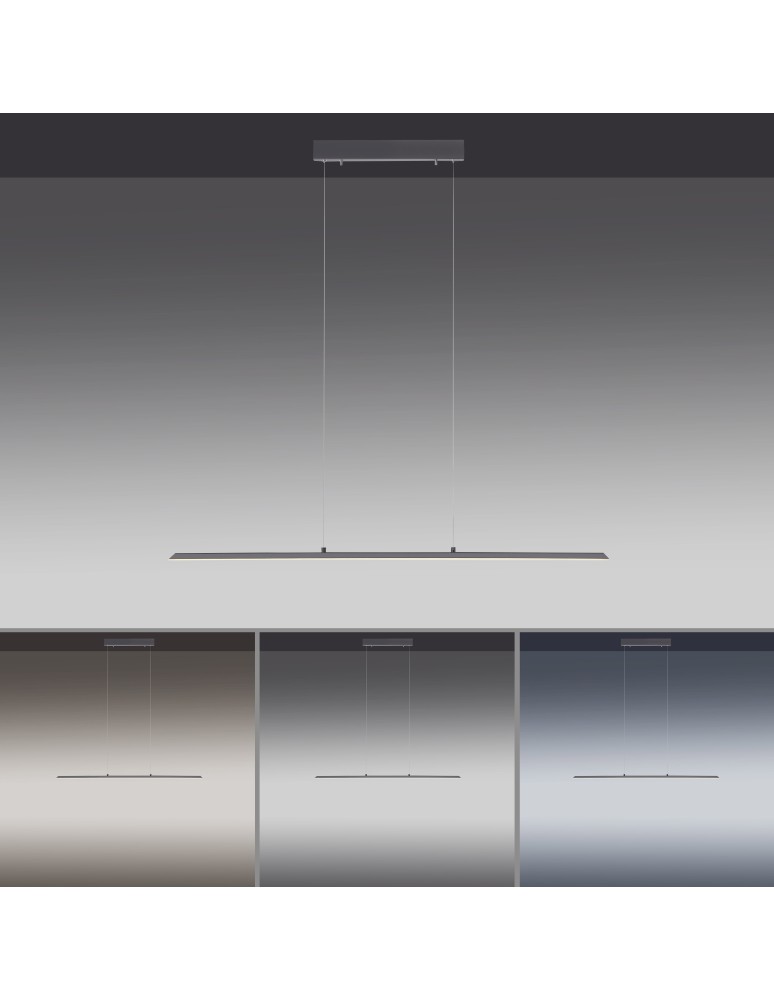 Paul Neuhaus Pure-Lite Lampa Wisząca Antracyt 8375-13