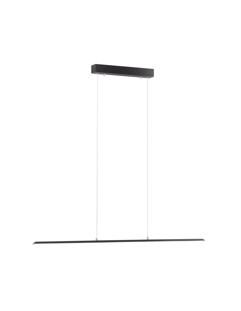 Paul Neuhaus Pure-Lite Lampa Wisząca Antracyt 8375-13