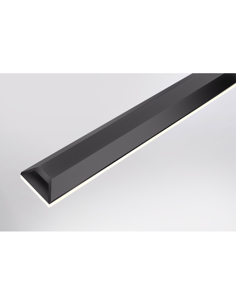 Paul Neuhaus Pure-Lite Lampa Wisząca Antracyt 8375-13