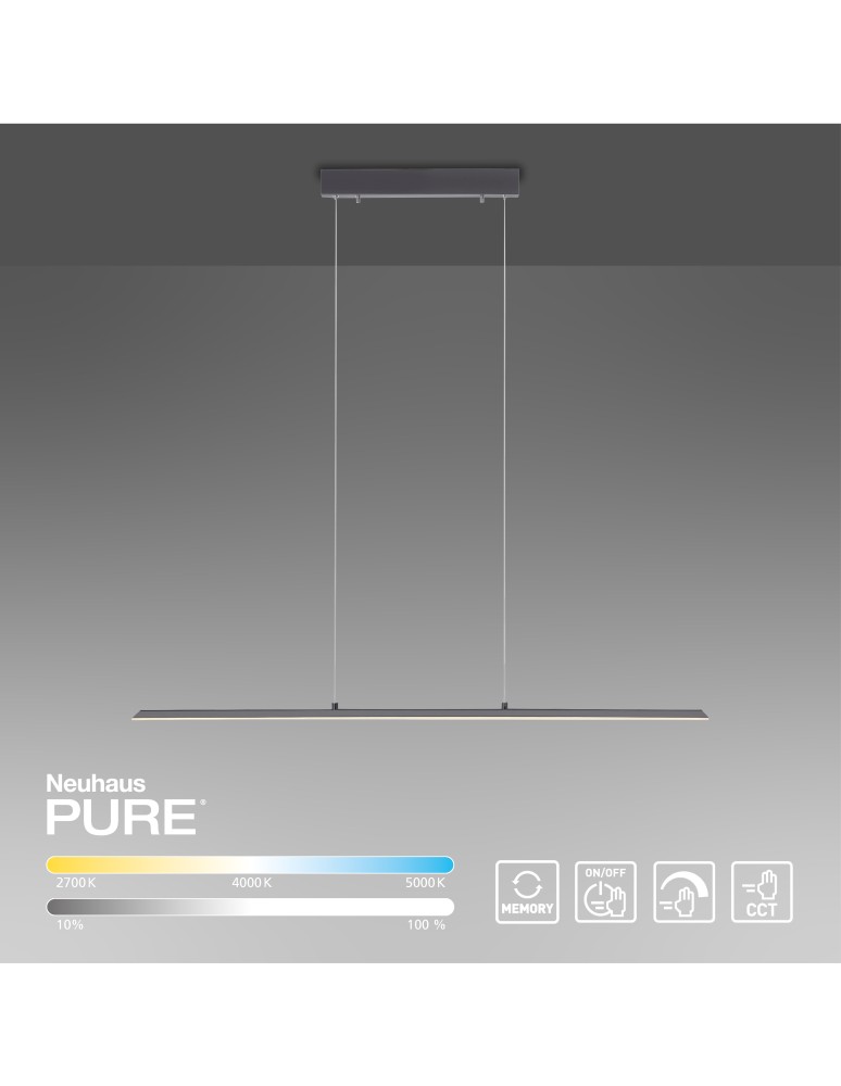 Paul Neuhaus Pure-Lite Lampa Wisząca Antracyt 8375-13