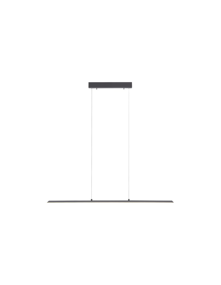 Paul Neuhaus Pure-Lite Lampa Wisząca Antracyt 8375-13