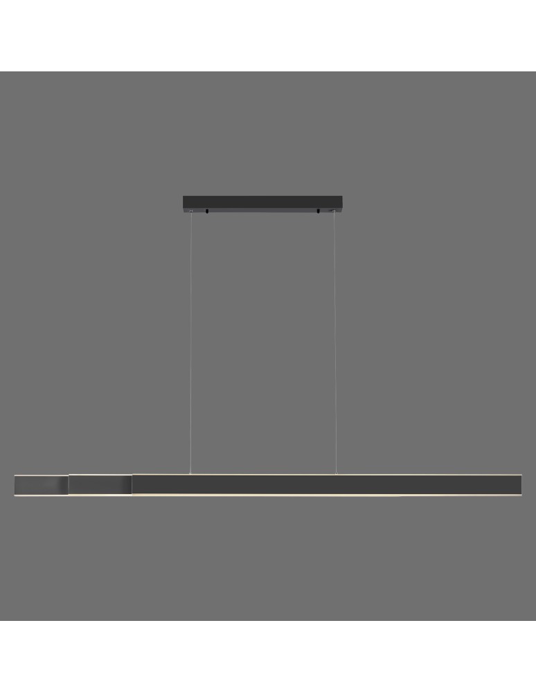 Paul Neuhaus Pure-Lume Lampa Wisząca Antracyt 2738-13 Paul Neuhaus Pure-Lume Lampa Wisząca Antracyt 2738-13