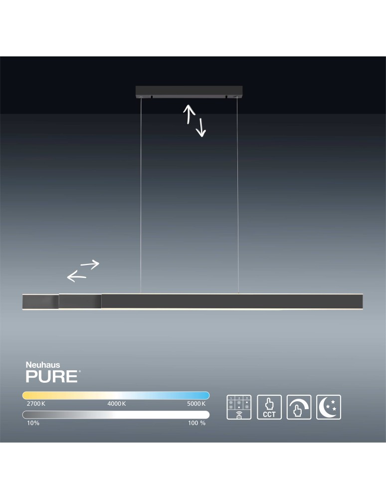 Paul Neuhaus Pure-Lume Lampa Wisząca Antracyt 2738-13 Paul Neuhaus Pure-Lume Lampa Wisząca Antracyt 2738-13