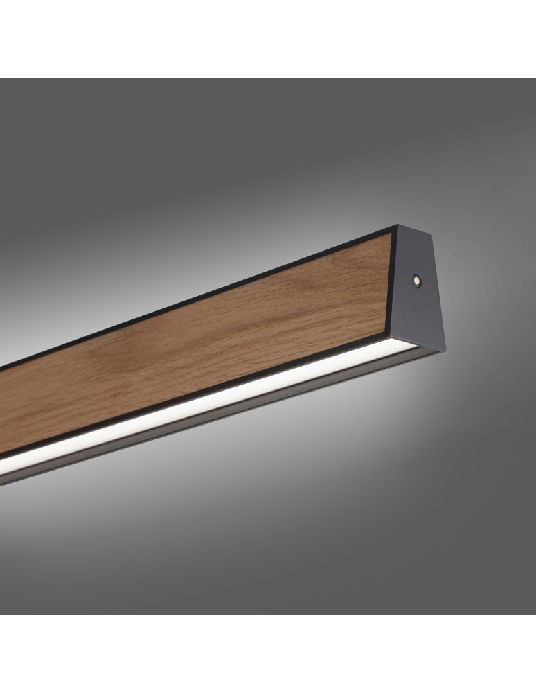 Paul Neuhaus Pure E-Motion Lampa Wisząca Czarny/Drewno 2570-79