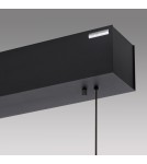 Paul Neuhaus Pure E-Motion Lampa Wisząca Czarny/Drewno 2570-79