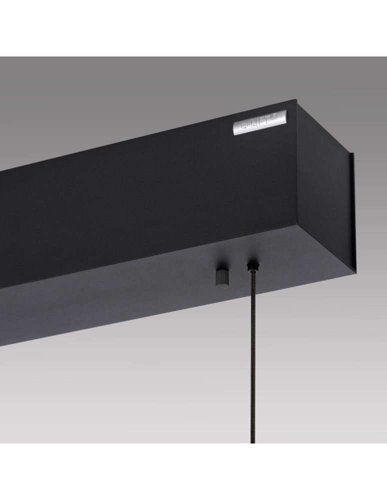 Paul Neuhaus Pure E-Motion Lampa Wisząca Czarny/Drewno 2570-79