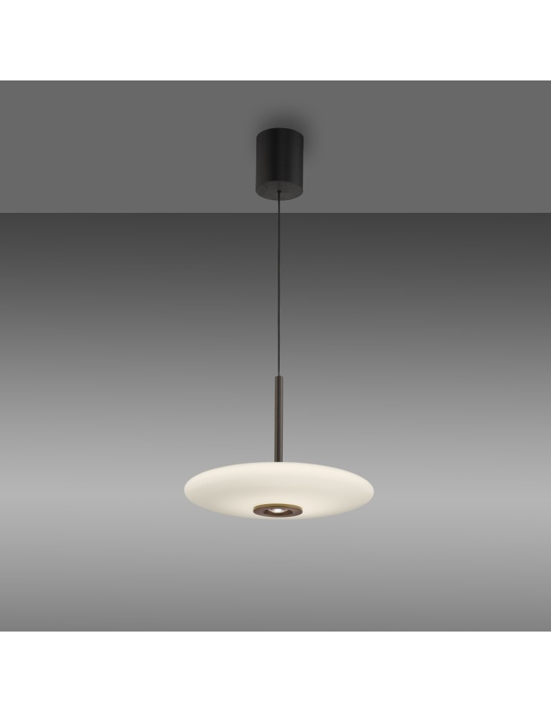 Paul Neuhaus Pure E-Vitrum Lampa Wisząca Ciemnobrązowy 2084-34