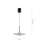 Paul Neuhaus Pure E-Vitrum Lampa Wisząca Ciemnobrązowy 2084-34