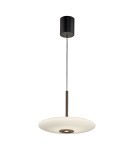 Paul Neuhaus Pure E-Vitrum Lampa Wisząca Ciemnobrązowy 2084-34