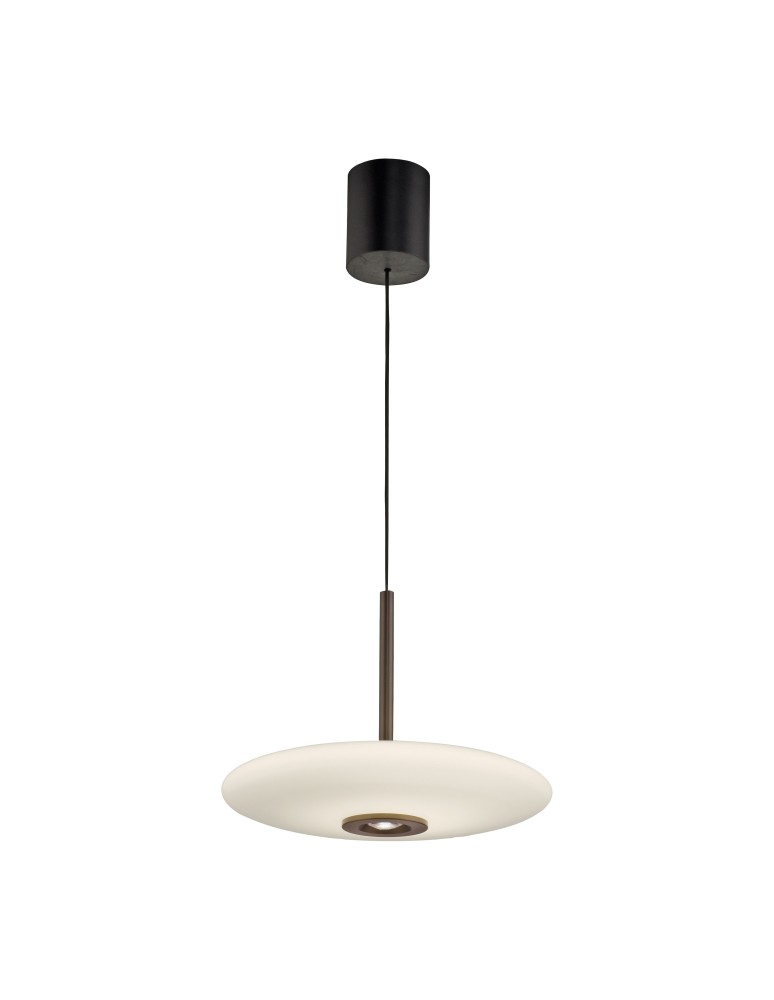 Paul Neuhaus Pure E-Vitrum Lampa Wisząca Ciemnobrązowy 2084-34