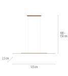 Paul Neuhaus Pure Surface Lampa Wisząca Brązowy 2301-97