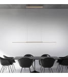 Paul Neuhaus Pure Surface Lampa Wisząca Brązowy 2301-97
