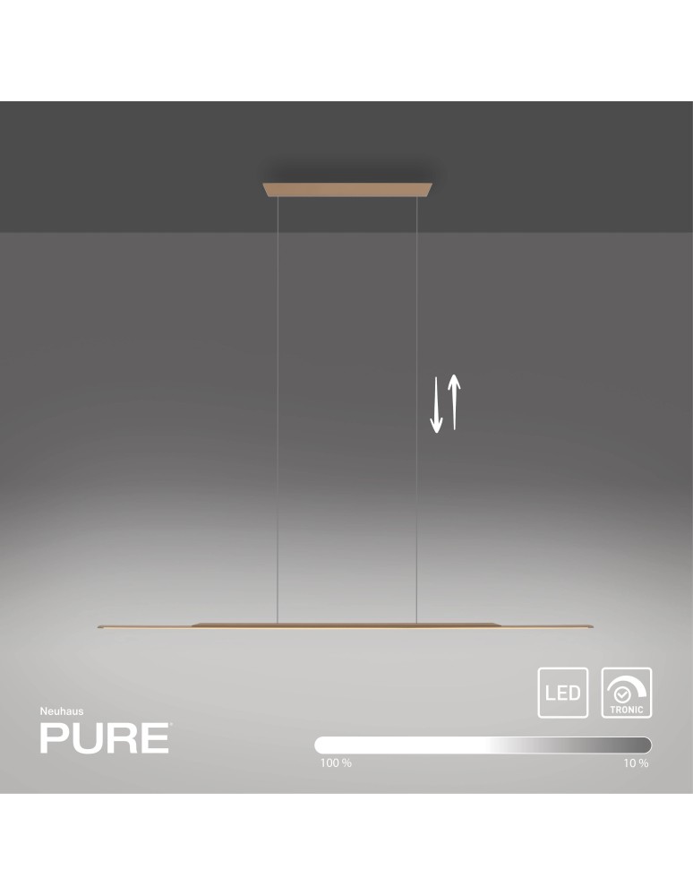 Paul Neuhaus Pure Surface Lampa Wisząca Brązowy 2301-97