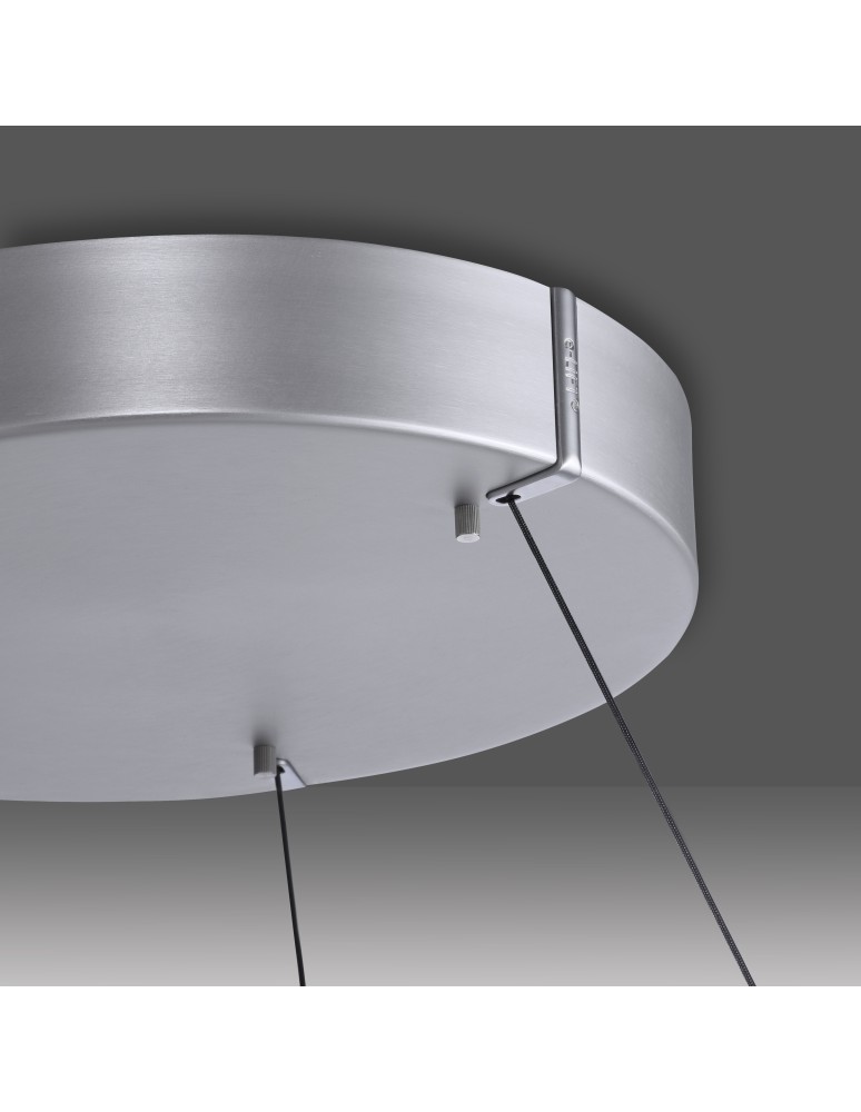 Paul Neuhaus Pure E-Loop Lampa Wisząca Aluminium 2550-95