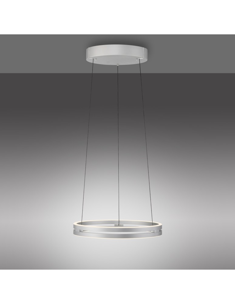 Paul Neuhaus Pure E-Loop Lampa Wisząca Aluminium 2550-95