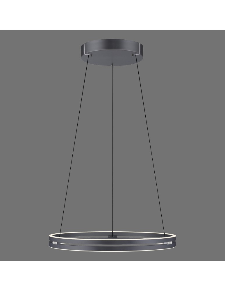 Paul Neuhaus Pure E-Loop Lampa Wisząca Szary 2551-15