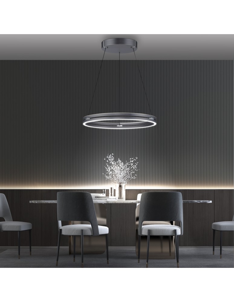 Paul Neuhaus Pure E-Loop Lampa Wisząca Szary 2551-15