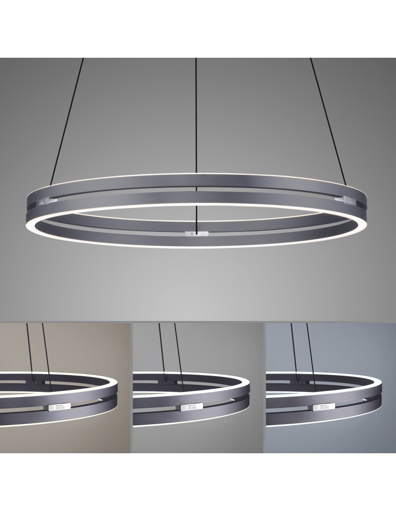 Paul Neuhaus Pure E-Loop Lampa Wisząca Szary 2551-15