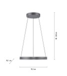 Paul Neuhaus Pure E-Loop Lampa Wisząca Szary 2551-15