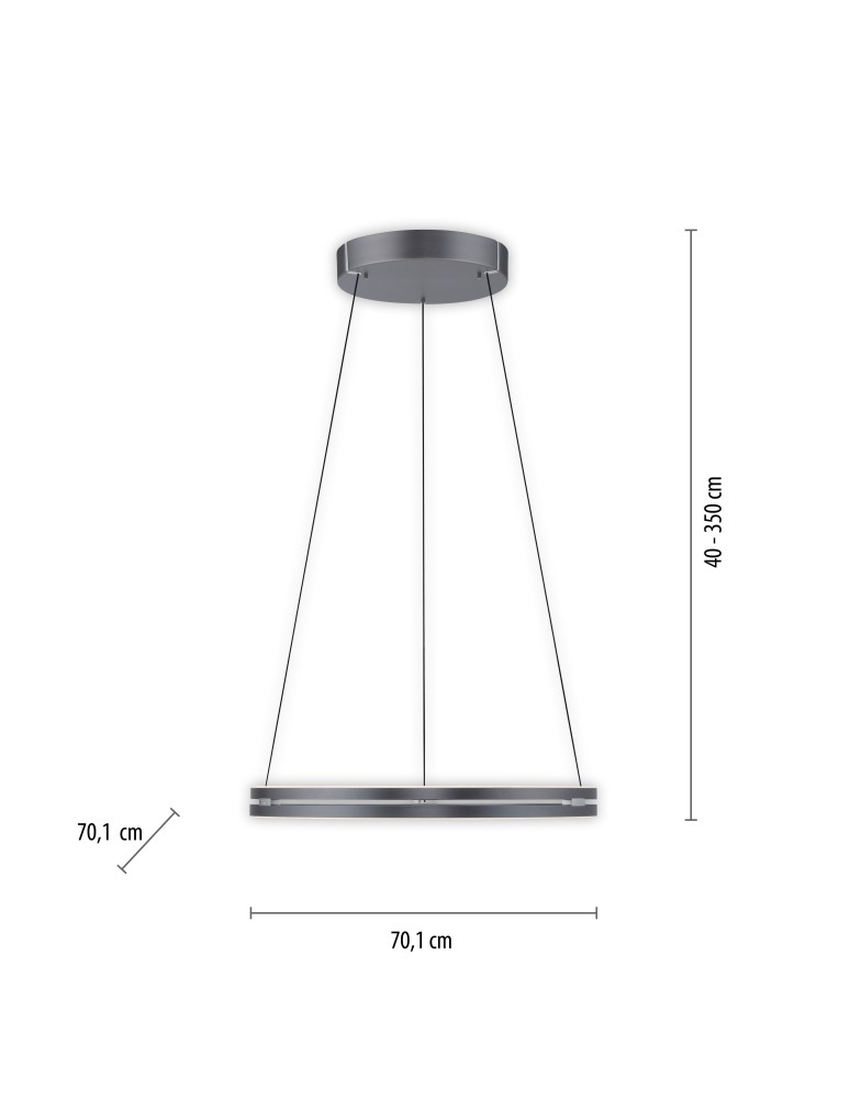 Paul Neuhaus Pure E-Loop Lampa Wisząca Szary 2551-15